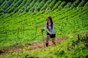 BIB: 2134
                            <button type="button" onclick="openModal(19163174)" class="btn btn-primary btn-sm float-right btn-popup" data-toggle="modal" data-target=".modal-high-quality">
                        <i class="fas fa-shopping-cart"></i> Add to Cart
                    </button>
                                            <button type="button" onclick="isThisMe(19163174, true)" class="btn btn-success btn-sm float-right btn-popup btn-isme hidden" data-toggle="tooltip" data-placement="bottom" title="นี่คือรูปของคุณใช่ไหม คลิกที่นี่เพื่อเอาเข้าอัลบั้ม">
                        <i class="fas fa-plus"></i> Add to album
                    </button>
                    <button type="button" onclick="isThisMe(19163174, false)" class="btn btn-warning btn-sm float-right btn-popup btn-isnotme hidden">
                        <i class="fas fa-ban"></i> Remove from album
                    </button>